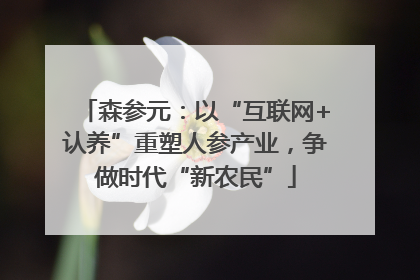 森参元：以“互联网+认养”重塑人参产业，争做时代“新农民”