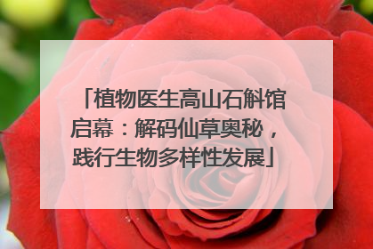植物医生高山石斛馆启幕：解码仙草奥秘，践行生物多样性发展