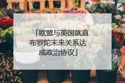 欧盟与英国就直布罗陀未来关系达成政治协议