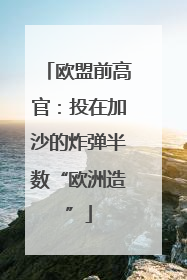欧盟前高官：投在加沙的炸弹半数“欧洲造”