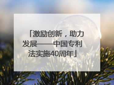 激励创新，助力发展——中国专利法实施40周年