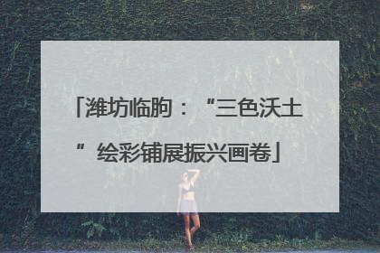 潍坊临朐：“三色沃土”绘彩铺展振兴画卷