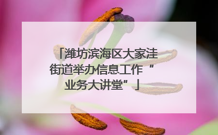 潍坊滨海区大家洼街道举办信息工作“业务大讲堂”