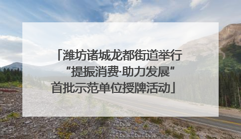 潍坊诸城龙都街道举行“提振消费·助力发展”首批示范单位授牌活动