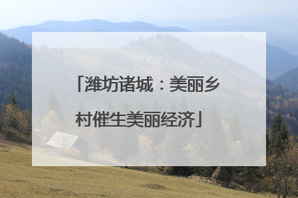 潍坊诸城：美丽乡村催生美丽经济