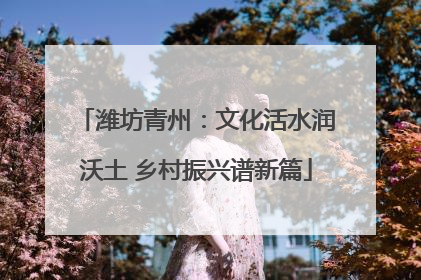潍坊青州：文化活水润沃土 乡村振兴谱新篇