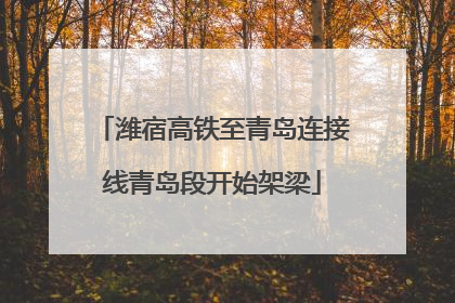 潍宿高铁至青岛连接线青岛段开始架梁
