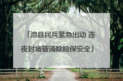 澧县民兵紧急出动 连夜封堵管涌除险保安全