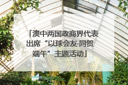 澳中两国政商界代表出席“以球会友·同贺端午”主题活动