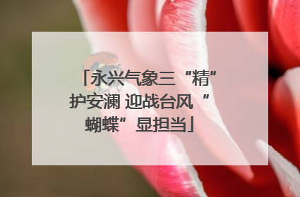 永兴气象三“精”护安澜 迎战台风“蝴蝶”显担当