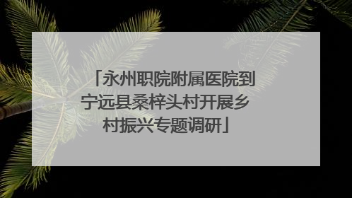 永州职院附属医院到宁远县桑梓头村开展乡村振兴专题调研