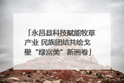 永昌县科技赋能牧草产业 民族团结共绘戈壁“绿富美”新画卷