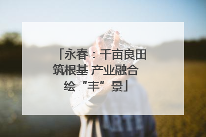 永春：千亩良田筑根基 产业融合绘“丰”景