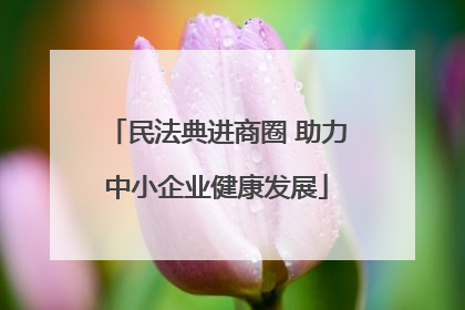 民法典进商圈 助力中小企业健康发展