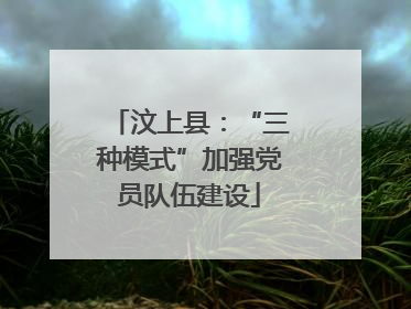 汶上县：“三种模式”加强党员队伍建设