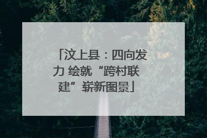 汶上县：四向发力 绘就“跨村联建”崭新图景