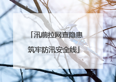 汛前拉网查隐患 筑牢防汛安全线