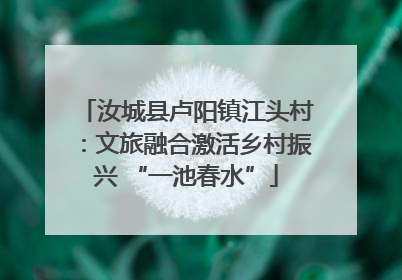 汝城县卢阳镇江头村：文旅融合激活乡村振兴 “一池春水”