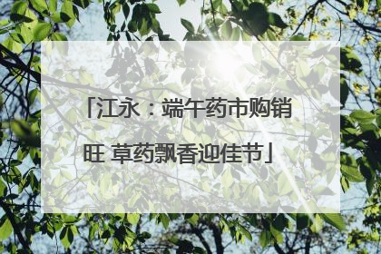 江永：端午药市购销旺 草药飘香迎佳节