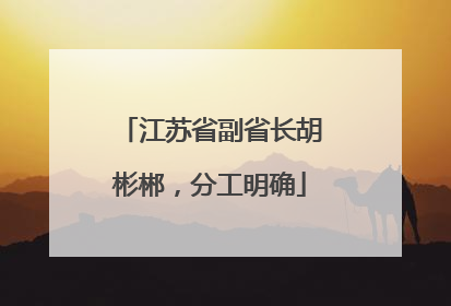 江苏省副省长胡彬郴，分工明确