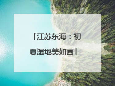 江苏东海：初夏湿地美如画