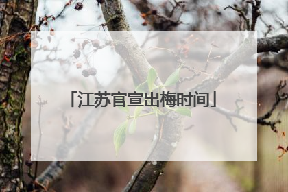 江苏官宣出梅时间