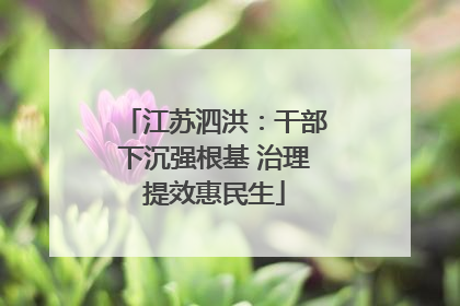 江苏泗洪：干部下沉强根基 治理提效惠民生
