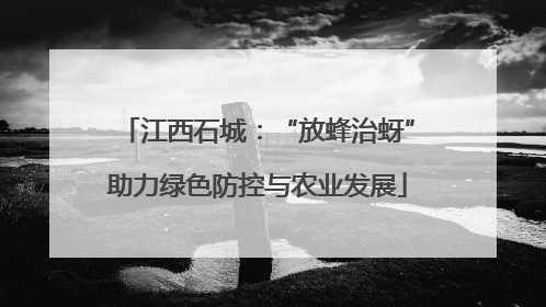 江西石城：“放蜂治蚜”助力绿色防控与农业发展