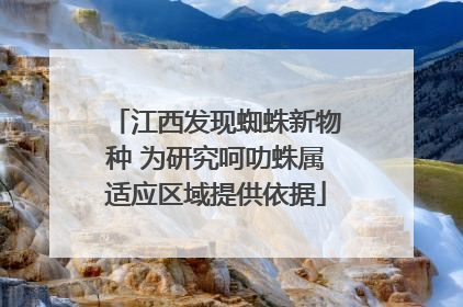 江西发现蜘蛛新物种 为研究呵叻蛛属适应区域提供依据