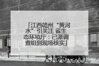 江西赣州“黄河水”引关注 省生态环境厅：已派调查组到现场核实