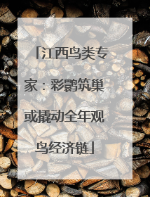 江西鸟类专家：彩鹮筑巢或撬动全年观鸟经济链