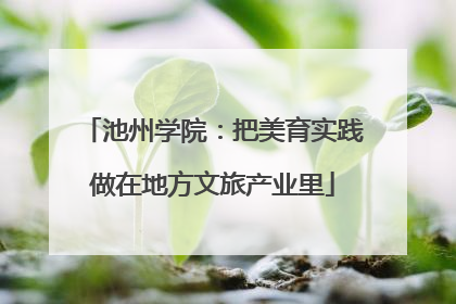 池州学院：把美育实践做在地方文旅产业里