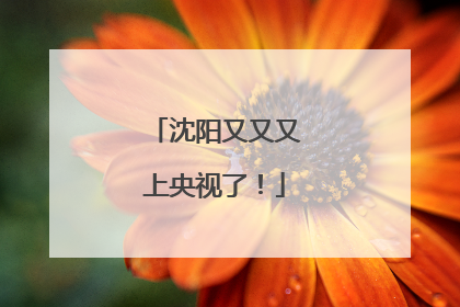 沈阳又又又上央视了！