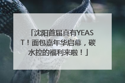 沈阳首届真有YEAST！面包嘉年华启幕，碳水控的福利来啦！
