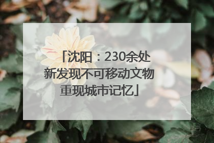 沈阳：230余处新发现不可移动文物重现城市记忆
