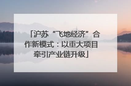 沪苏“飞地经济”合作新模式：以重大项目牵引产业链升级