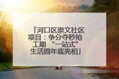 河口区崇文社区项目：争分夺秒抢工期 “一站式”生活圈年底亮相