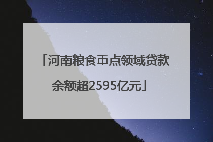 河南粮食重点领域贷款余额超2595亿元