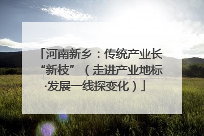 河南新乡：传统产业长“新枝”（走进产业地标·发展一线探变化）