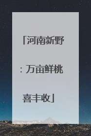 河南新野：万亩鲜桃喜丰收