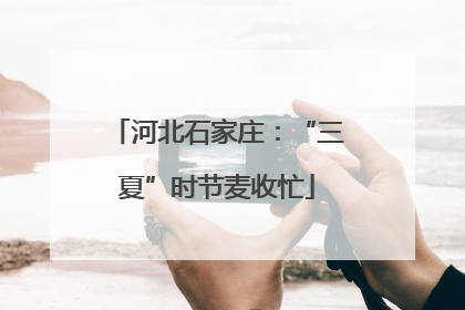 河北石家庄：“三夏”时节麦收忙