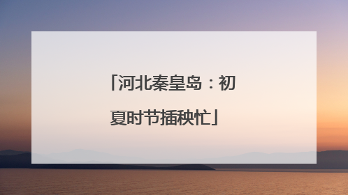 河北秦皇岛：初夏时节插秧忙