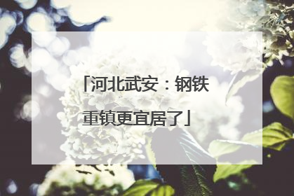 河北武安：钢铁重镇更宜居了