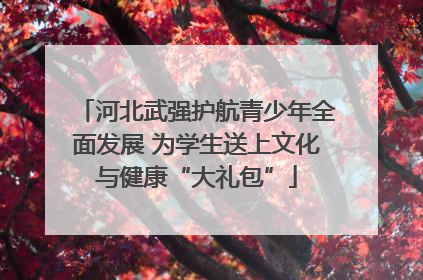 河北武强护航青少年全面发展 为学生送上文化与健康“大礼包”