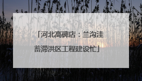河北高碑店：兰沟洼蓄滞洪区工程建设忙