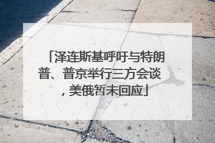 泽连斯基呼吁与特朗普、普京举行三方会谈，美俄暂未回应