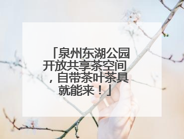 泉州东湖公园开放共享茶空间，自带茶叶茶具就能来！