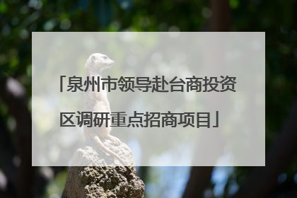 泉州市领导赴台商投资区调研重点招商项目