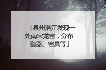 泉州洛江发现一处南宋龙窑，分布瓷器、窑具等