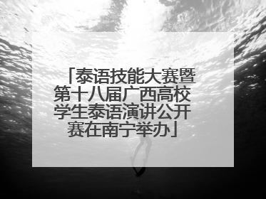泰语技能大赛暨第十八届广西高校学生泰语演讲公开赛在南宁举办